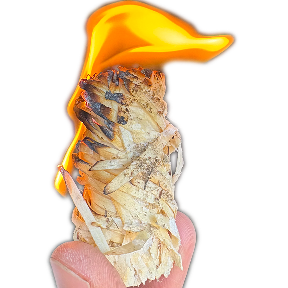 A burning STOCERS wood wool firelighter